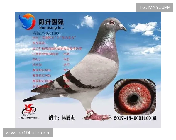 最全AG国际真人版会员注册攻略，助您迅速成为平台正式会员